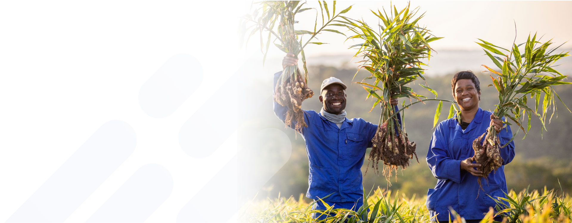 Fave™ agriculture and produce industry